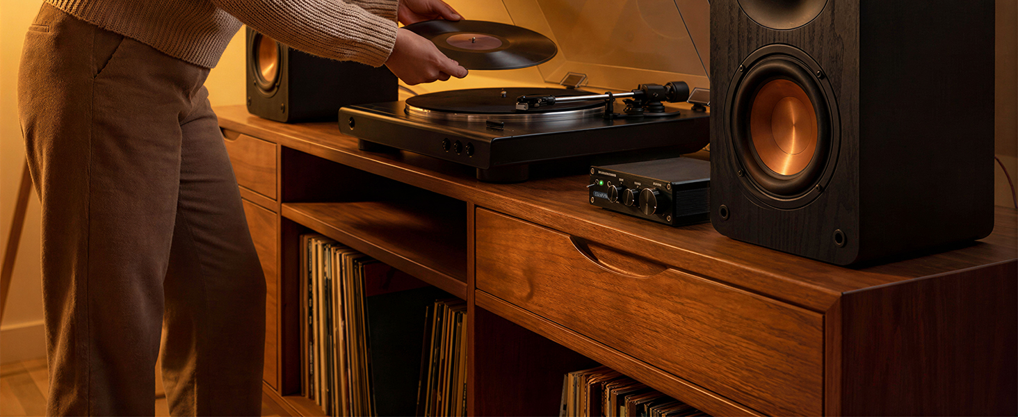 Passive Bookshelf Speakers