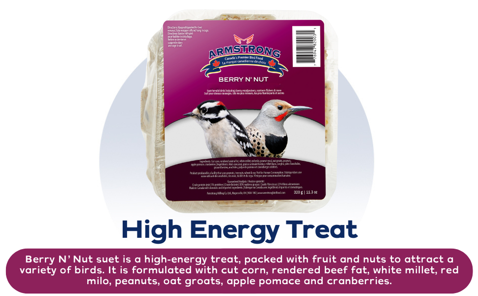Berry N Nut High Energy Treat