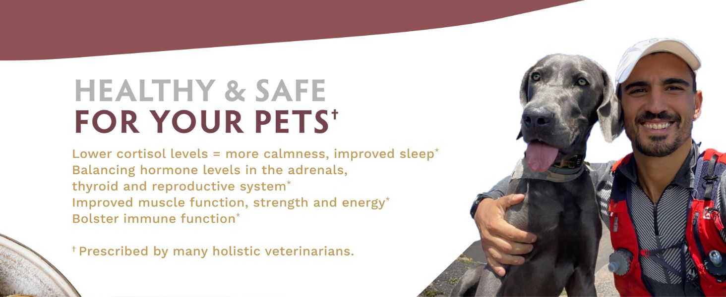 Healthy and safe for pets