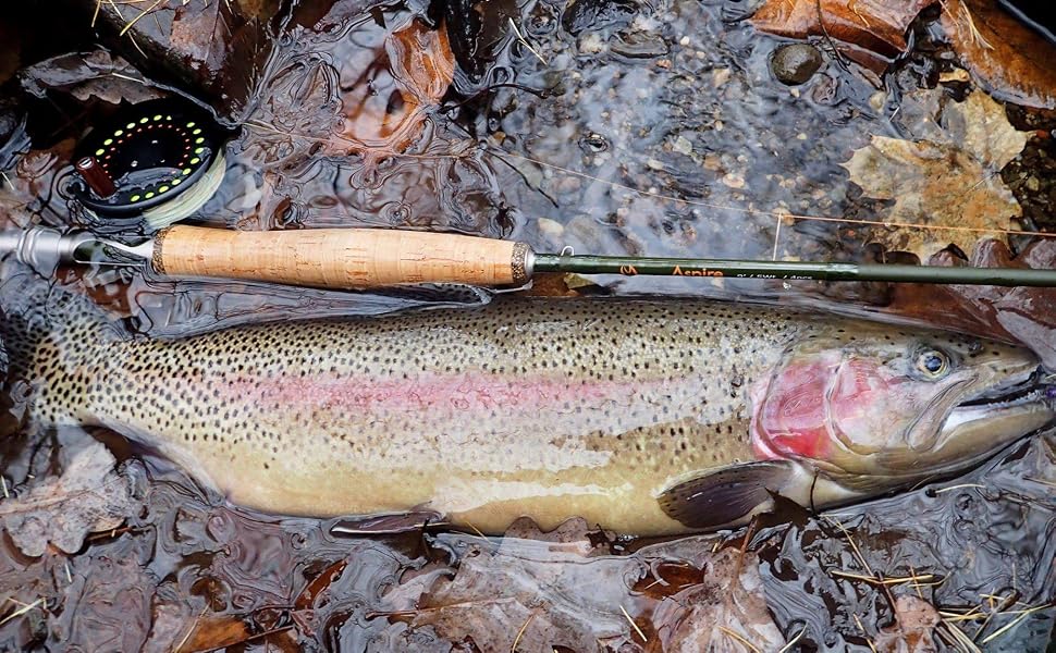maxcatch fly fishing rod 9ft
