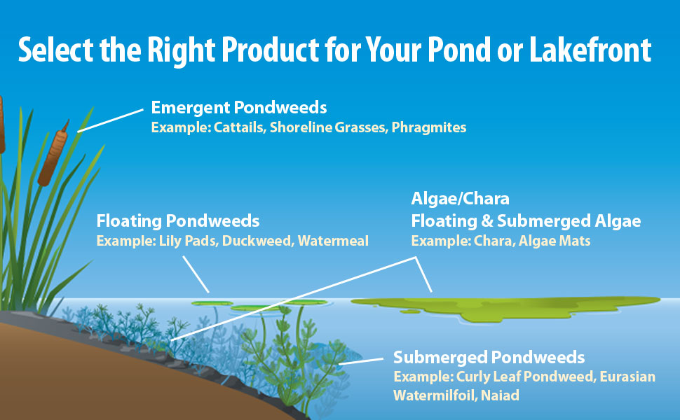 Select the right product for your pond or lakefront