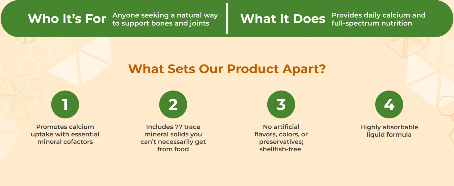 Who Its For, What It Does, What Sets Our Product Apart?