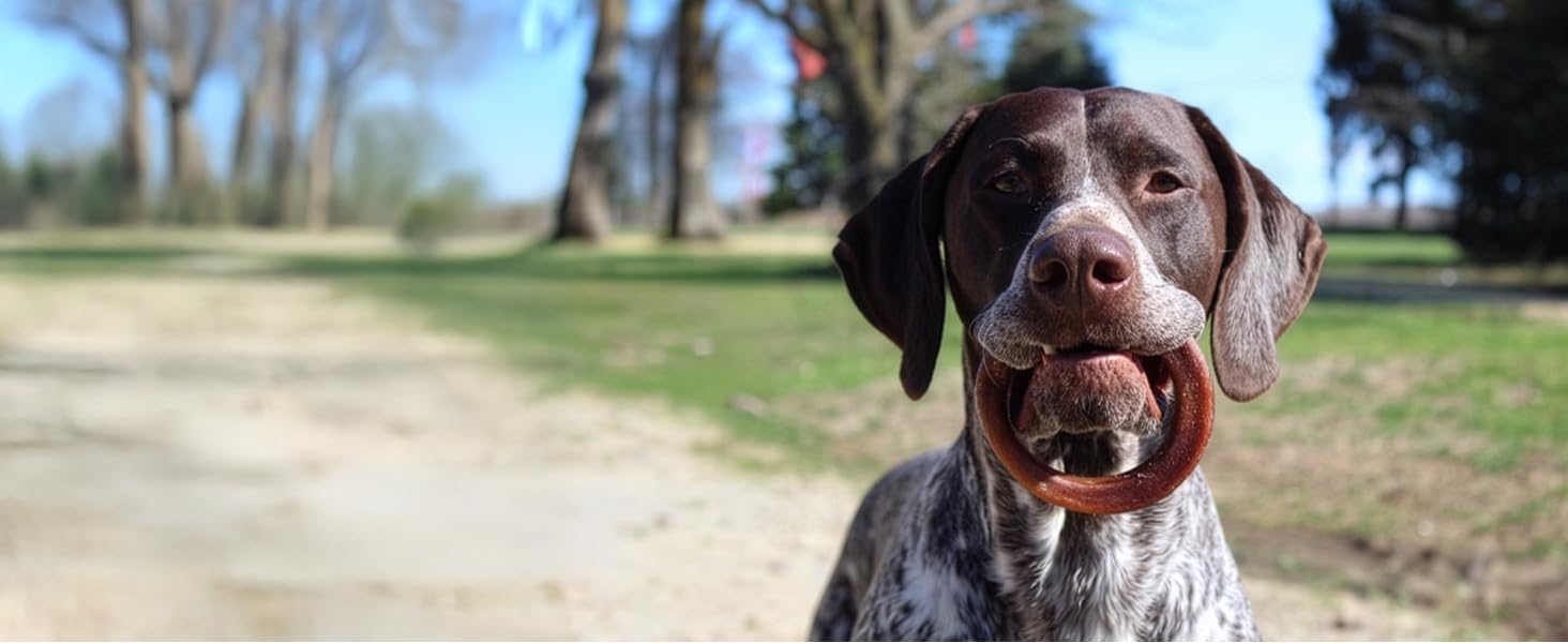 Boredom buster and stress reliever for dogs