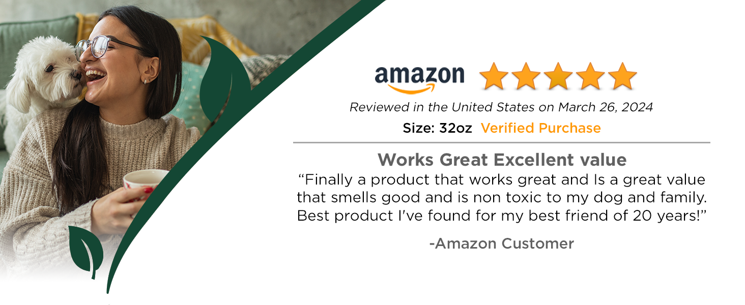 Customer review 3