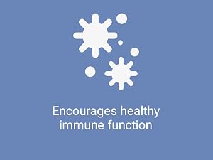 enzymes, prebiotics, women, enzimas, digestivas, probioticos, probióticos,