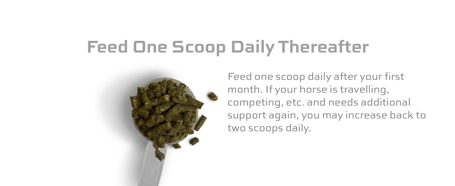 horse scoop supplement