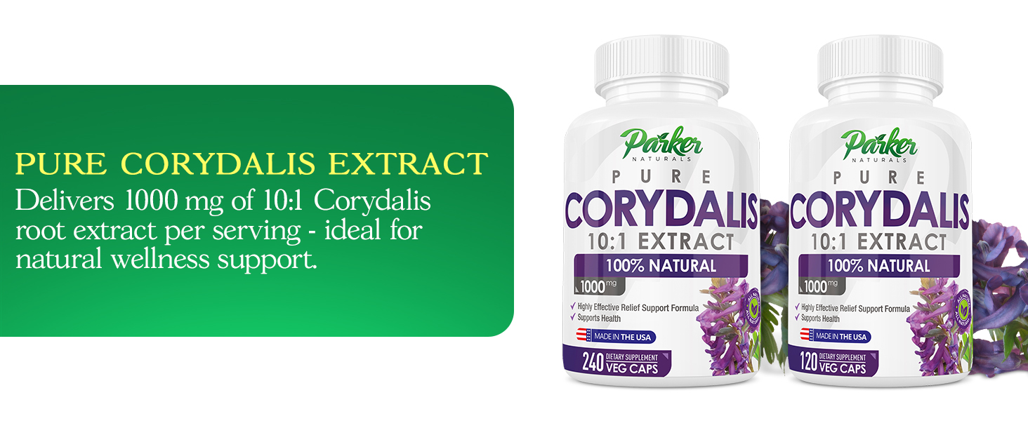 Corydalis