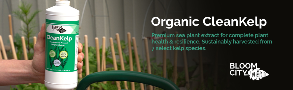Product Header