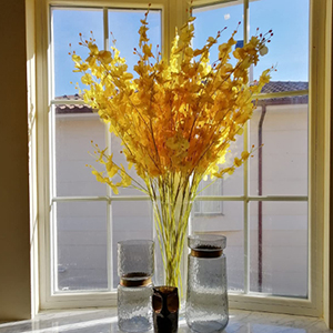 yellow orchid flowers