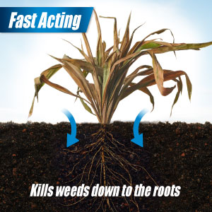 Kills weeds and grass down to root