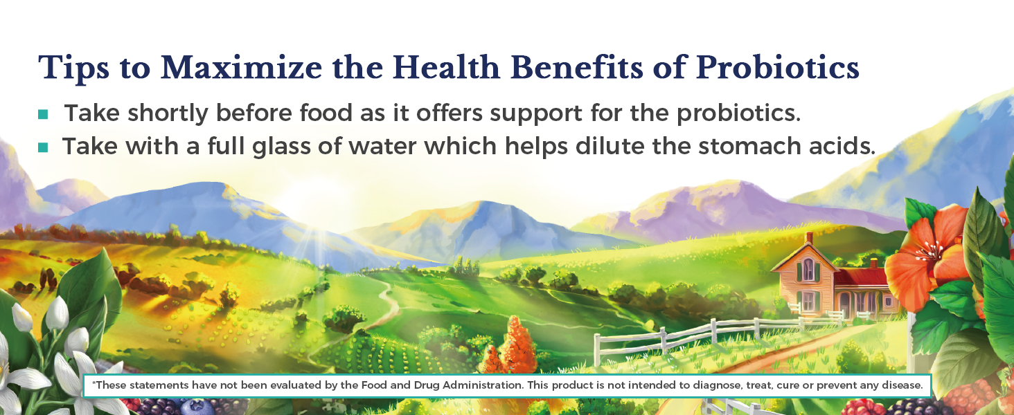 Vitalitown Max Strength Probiotics is made in the USA, non-dairy, non-GMO &amp;amp; vegan