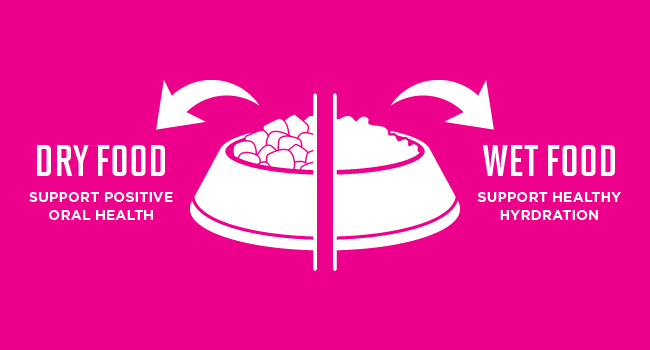 dry food supports positive oral health while wet food supports healthy hydration.