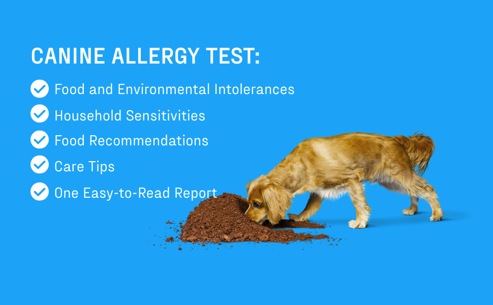 Canine allergy test