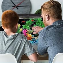 5 gallon fish tank