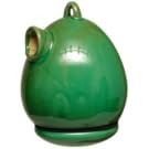 bird home nature backyard care feed observe patio