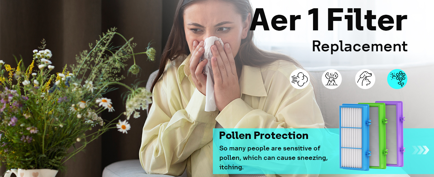 Aer1 Filter Replacement for Holmes