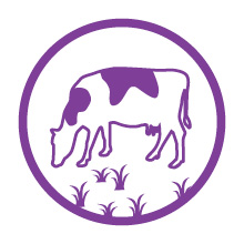 GRASS FED