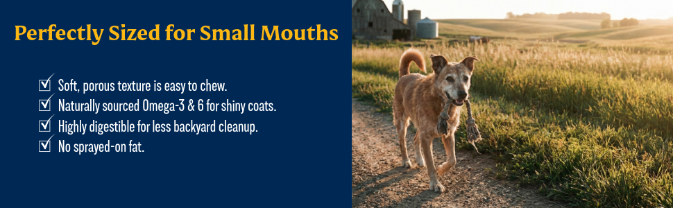 perfectly sized for small mouths
