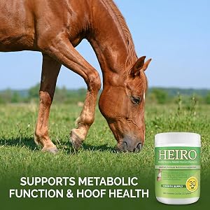 Horse grazing next to HEIRO supplement for metabolic support and equine wellness