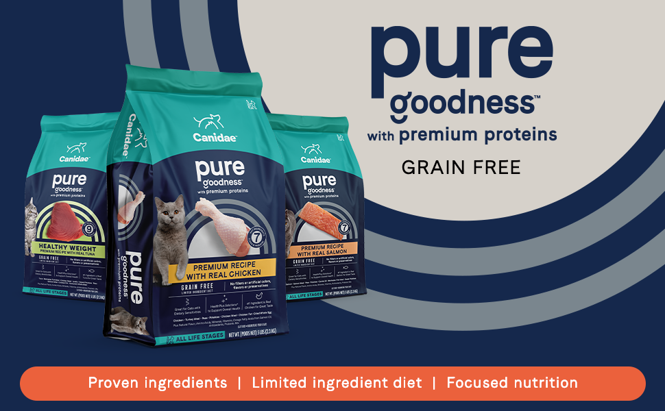 Pure Cat Dry