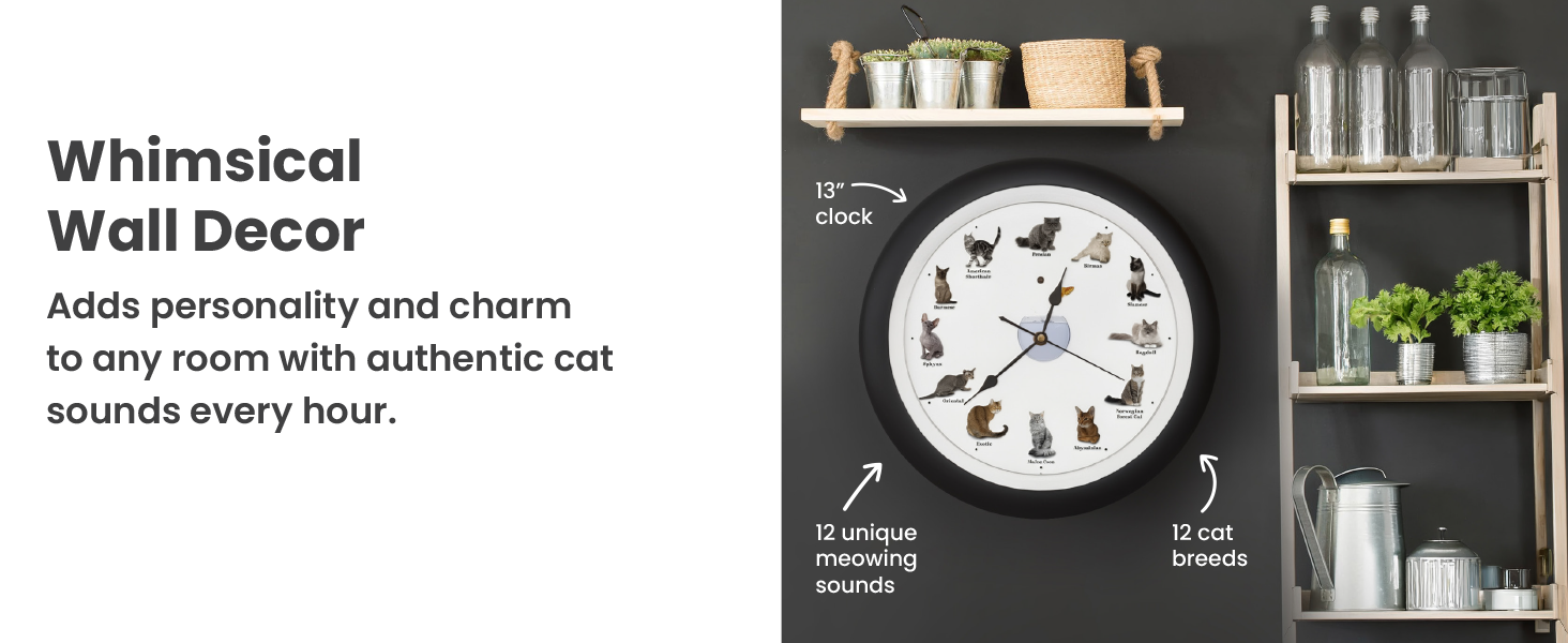 Cat sound clock in home