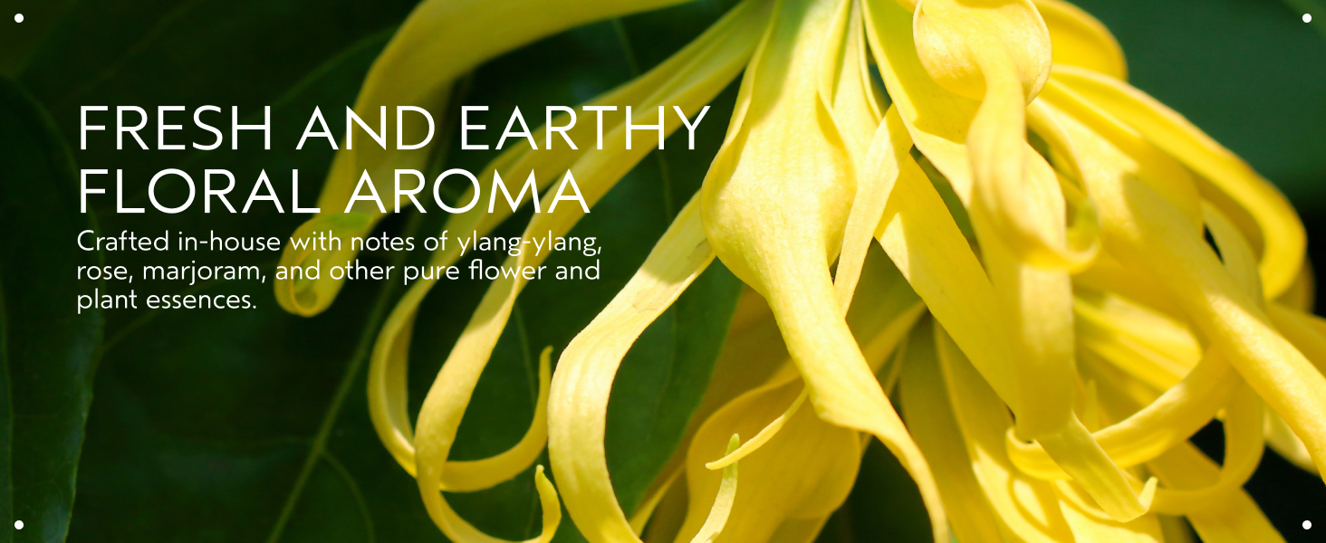 Botanical Repair Shampoo has a fresh and earthy floral aroma with notes of ylang-ylang, rose.