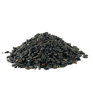 Sunflower seeds