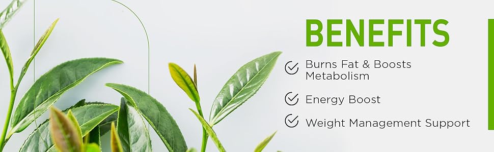 Green Tea Extract Fat Burner EGCG Natural Appetite Suppressant Weight Loss Detox Metabolism Booster