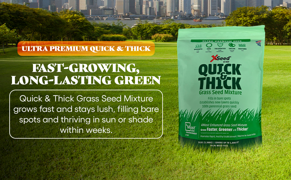 high traffic dogs bermuda pasto invierno hydroseed sacate jardin hydro southern lawns hard grow