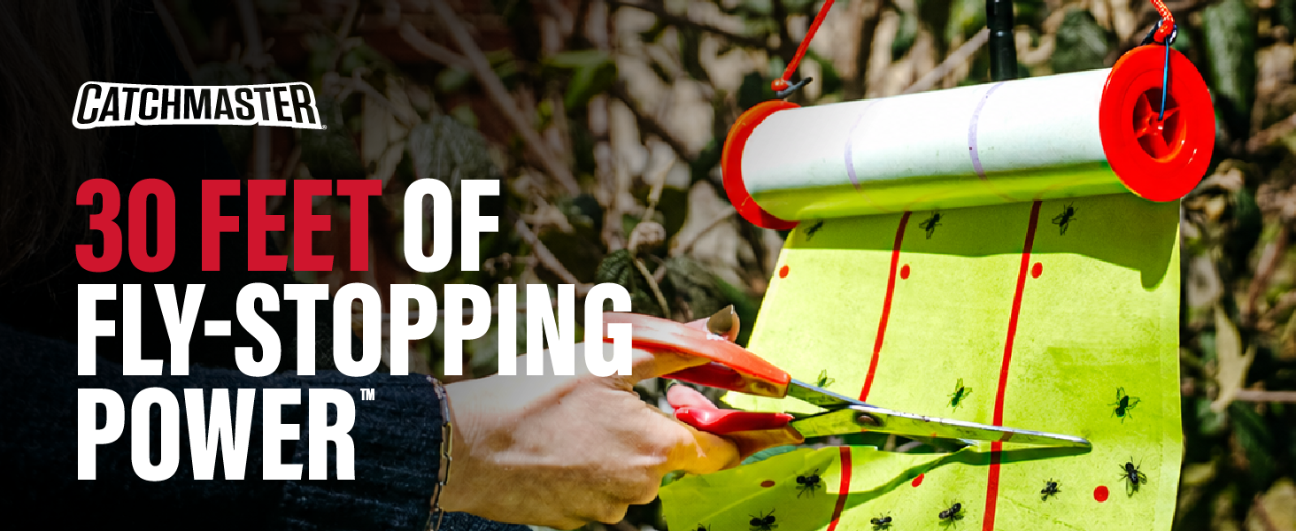 Catchmaster 30-foot fly roll being cut from a hanging trap for fly control