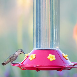 Keep Insects Out