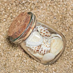 shell jar