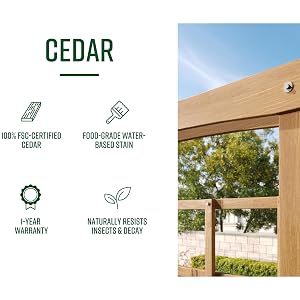 Cedar