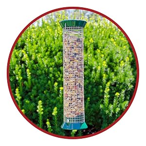lyric, bird seed, bird food, lyric bird seed, wild bird seed, fruit and nut, fruit and nut bird seed