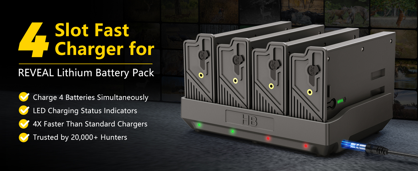 4 Slot Fast Charger for
