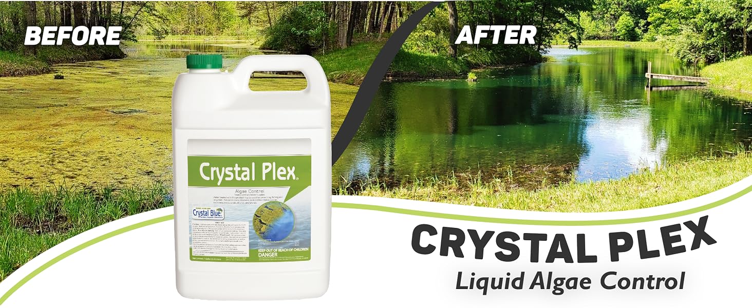 Pond Algae Control