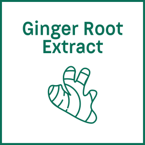 Ginger Root Extract icon