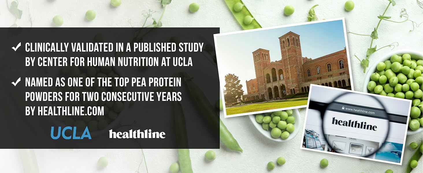 Nutrasumma 100% Plant Based Fermented Pea Protein Powder Unflavored