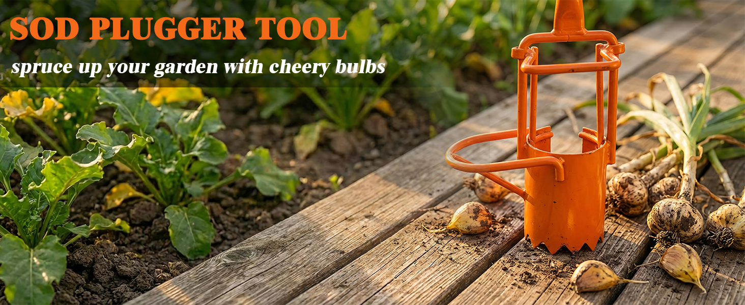 Using sod plugger to patch dead grass spots and transplant plugs easily