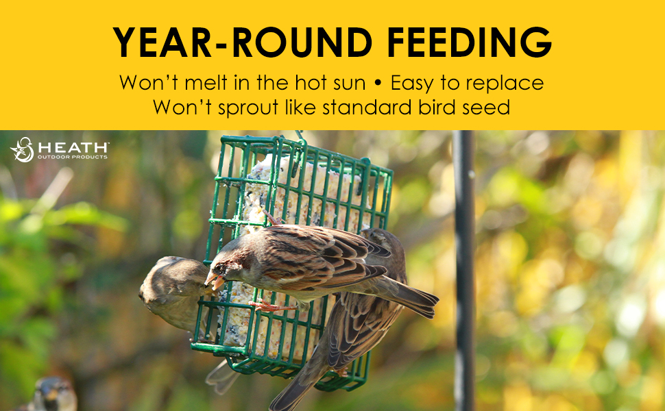 bird suet, heath suet cakes, year-round suet cakes, bird feeding, no melt cakes
