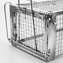 rat trap