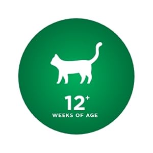 This flea shampoo is for cats 12 weeks older