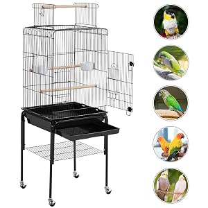 parrot cage