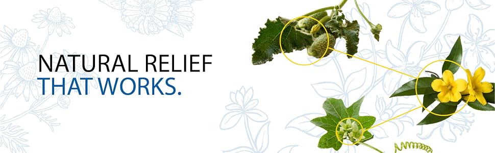 plant-based ingredients