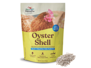 chicken coop shells oyster shells oyster shell for chickens calcium chicken