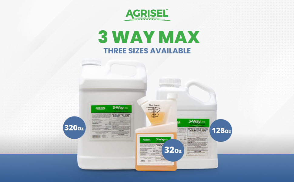 3 waymax
