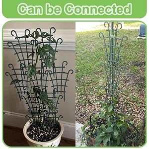 trellis for climbing plants outdoor