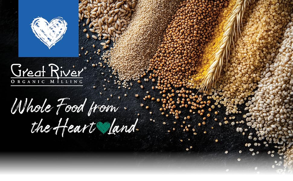 rye berries rye grain organic rye berries rye berries bulk