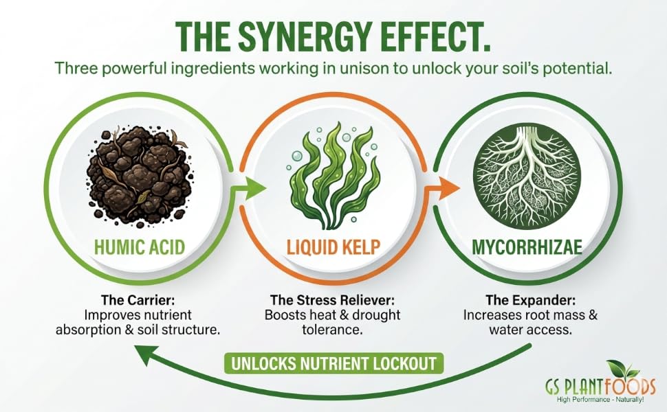 humic acid liquid kelp mycorrhizae