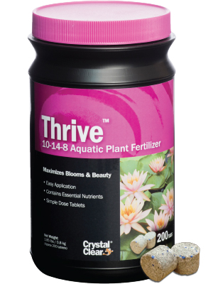 Thrive tablets next to product